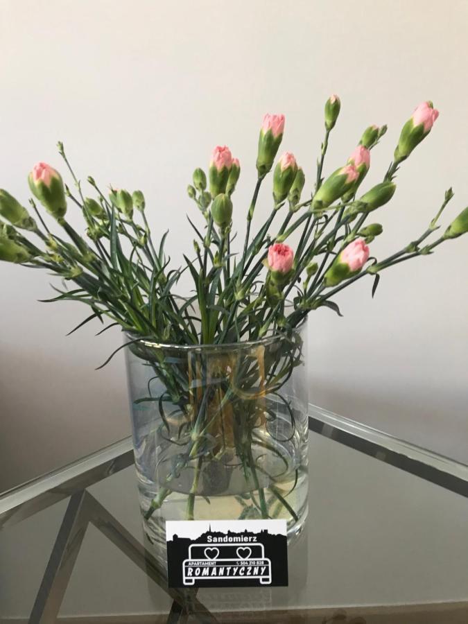 Apartament Romantyczny Sandomierz